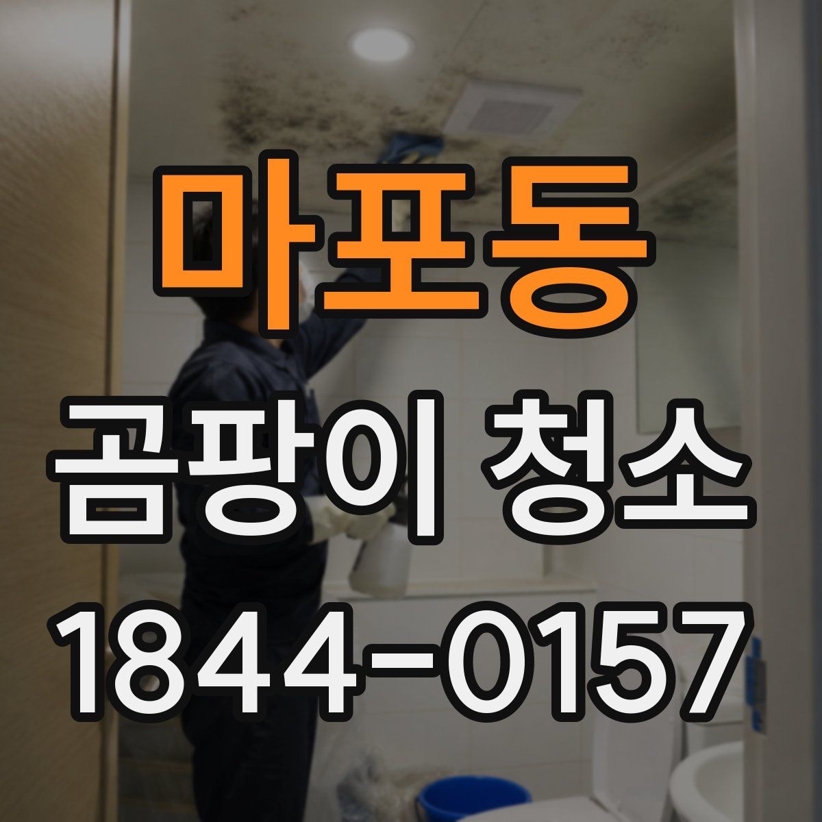 마포동 곰팡이 청소