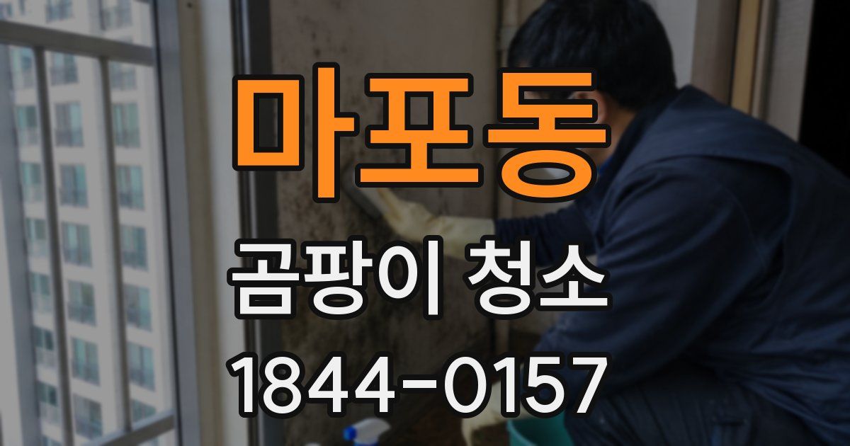 마포동 곰팡이 청소