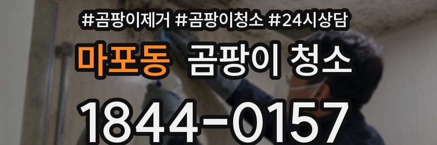 마포동 곰팡이 청소