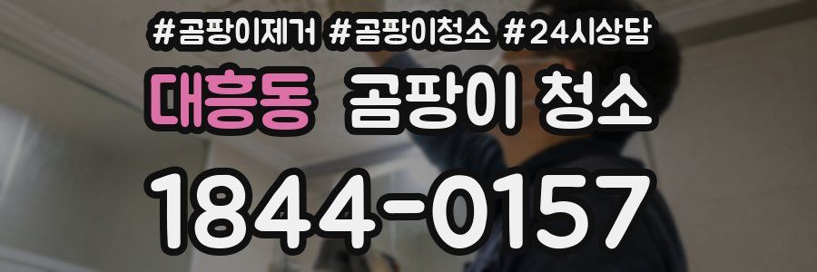 대흥동 곰팡이 청소