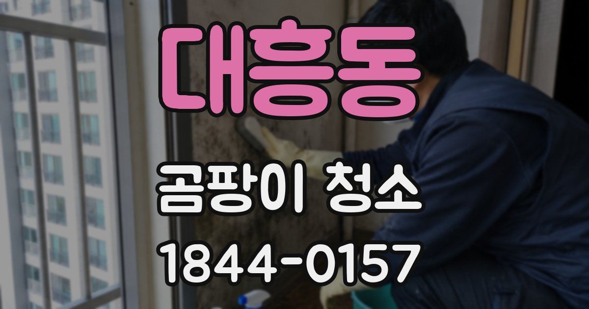 대흥동 곰팡이 청소