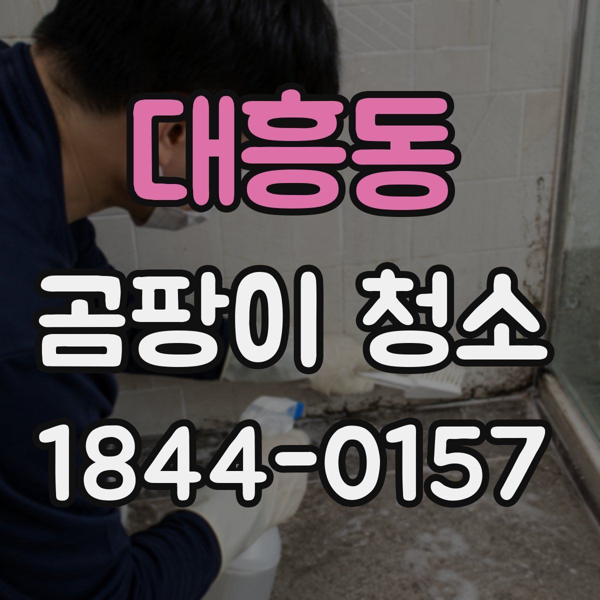 대흥동 곰팡이 청소