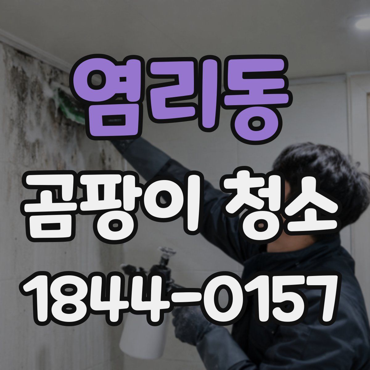 염리동 곰팡이 청소
