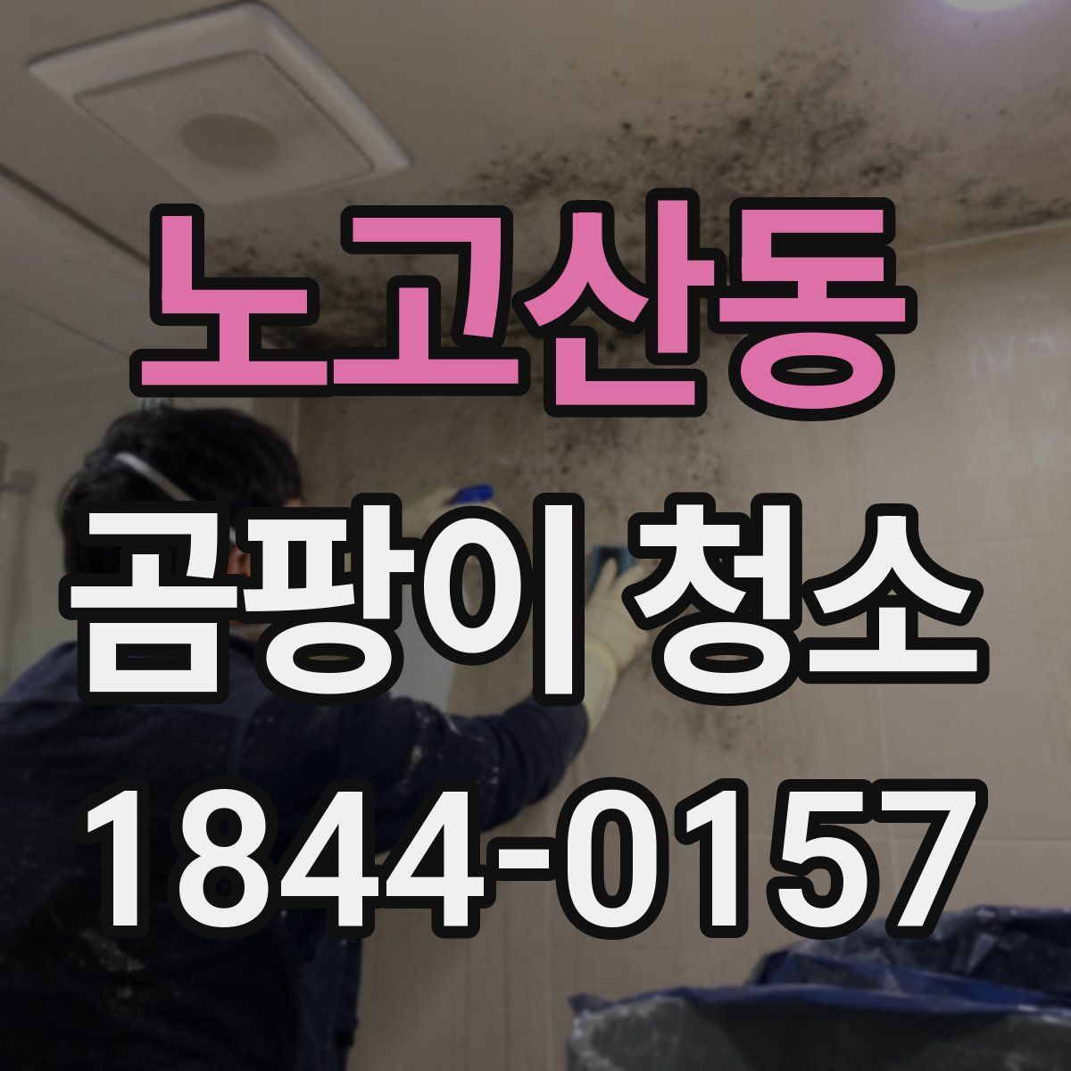 노고산동 곰팡이 청소