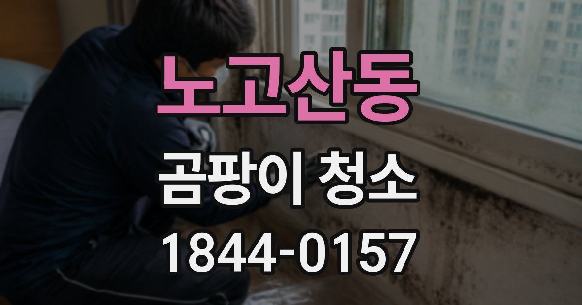 노고산동 곰팡이 청소