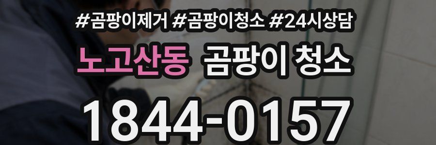 노고산동 곰팡이 청소