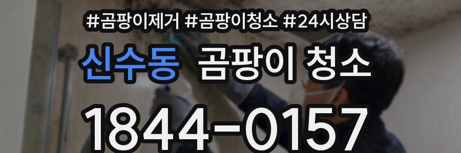 신수동 곰팡이 청소