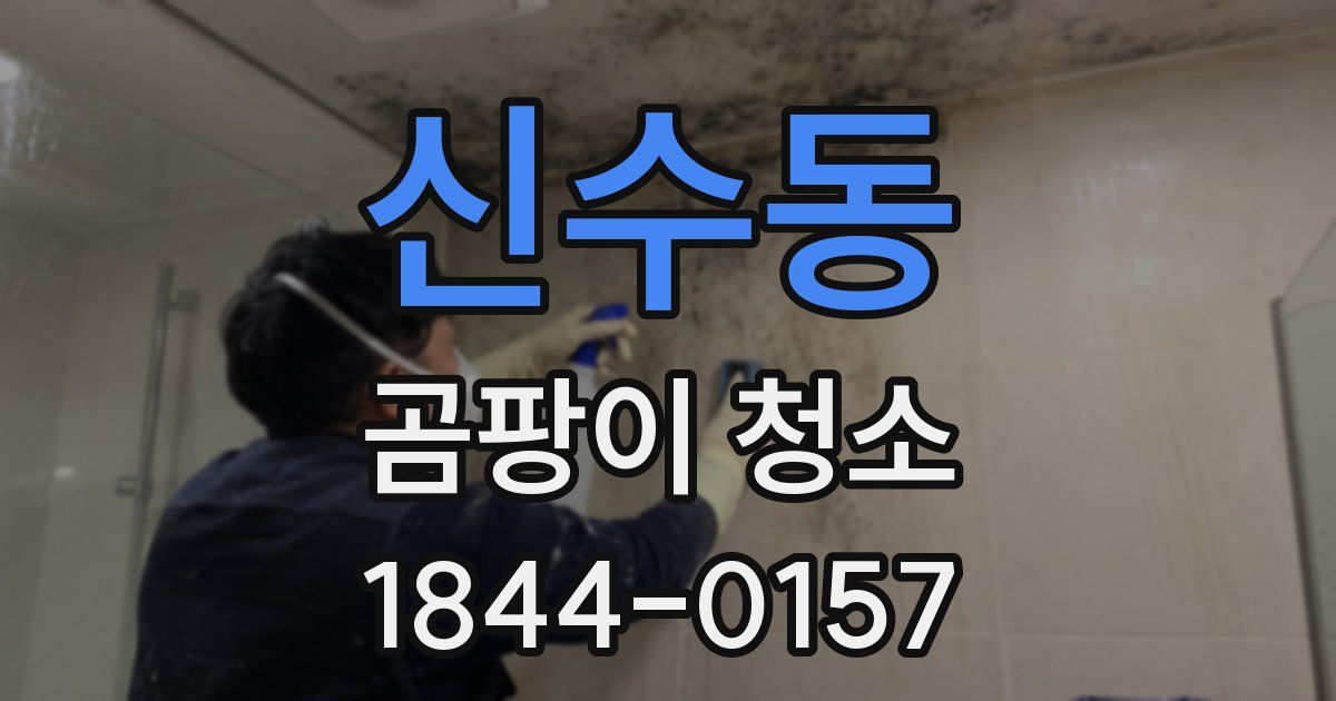 신수동 곰팡이 청소