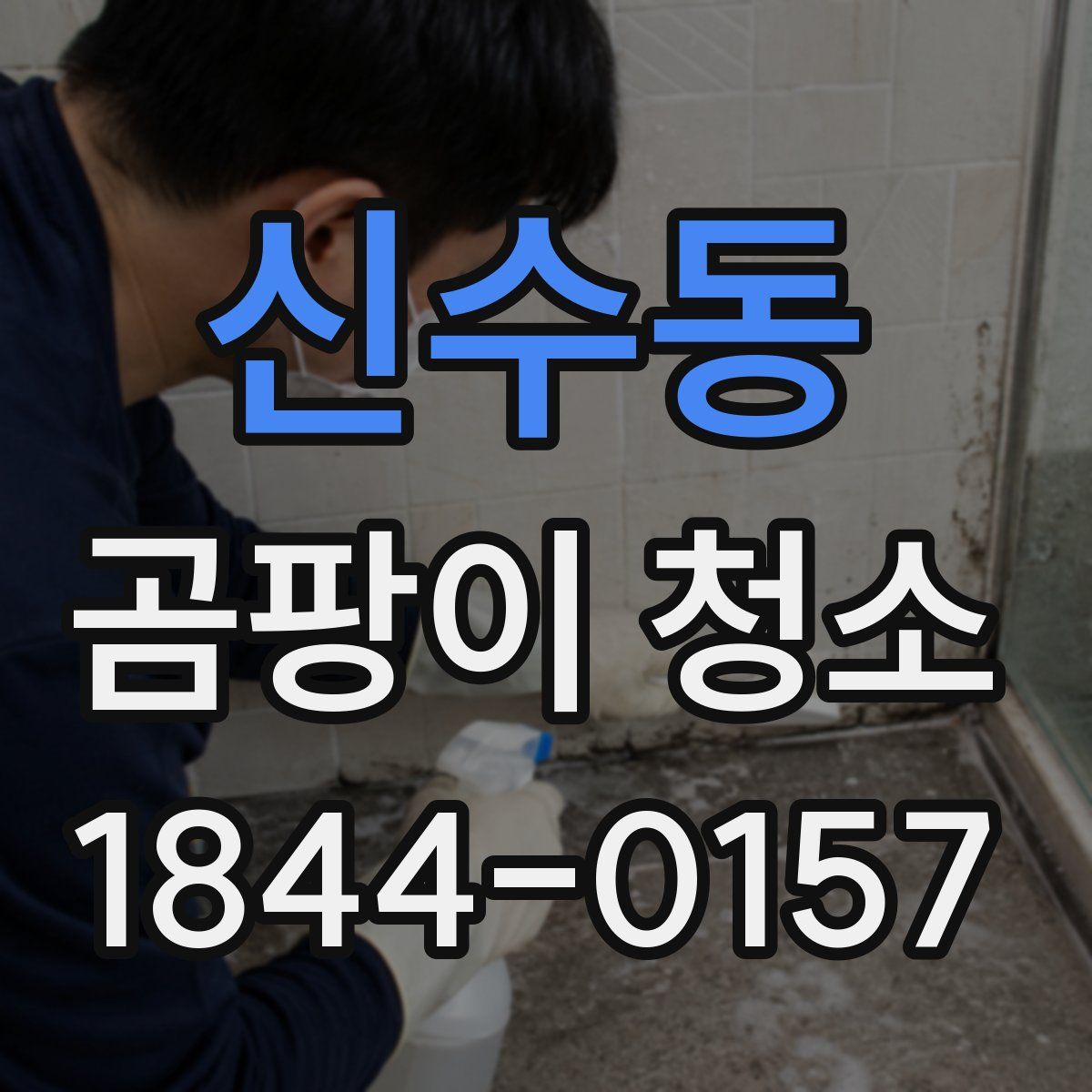 신수동 곰팡이 청소