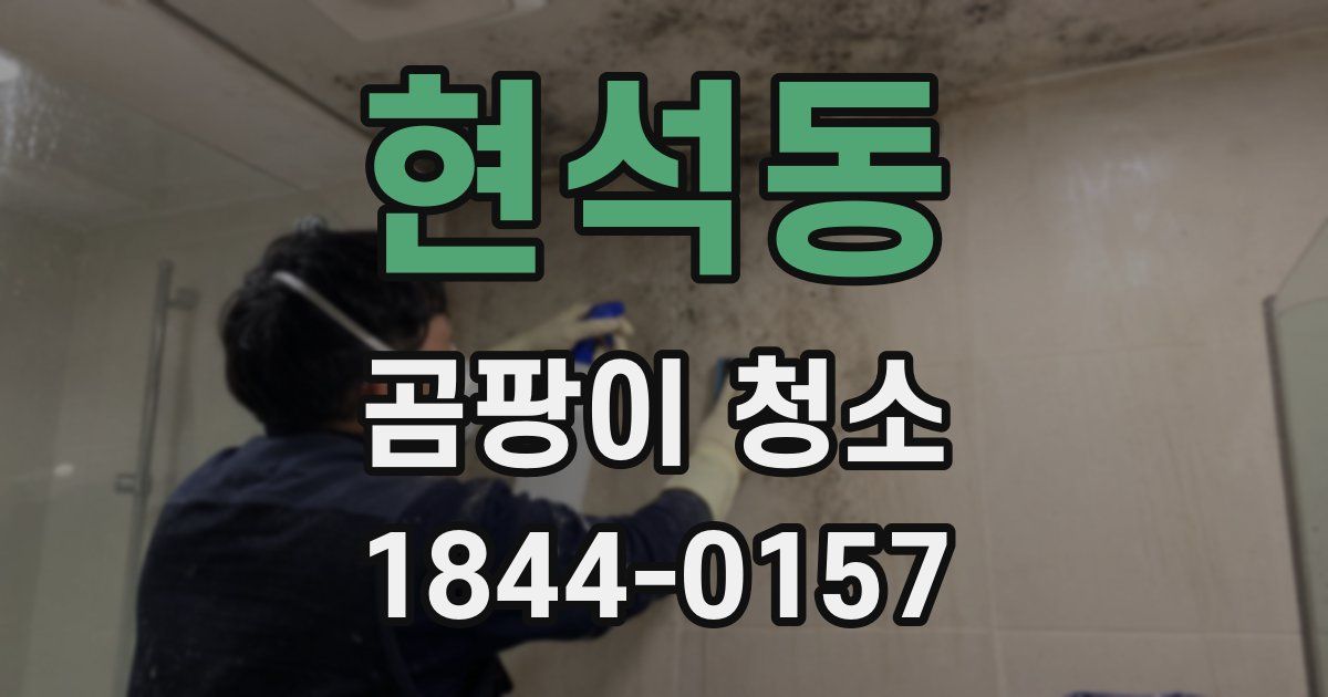 현석동 곰팡이 청소