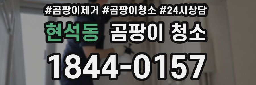 현석동 곰팡이 청소