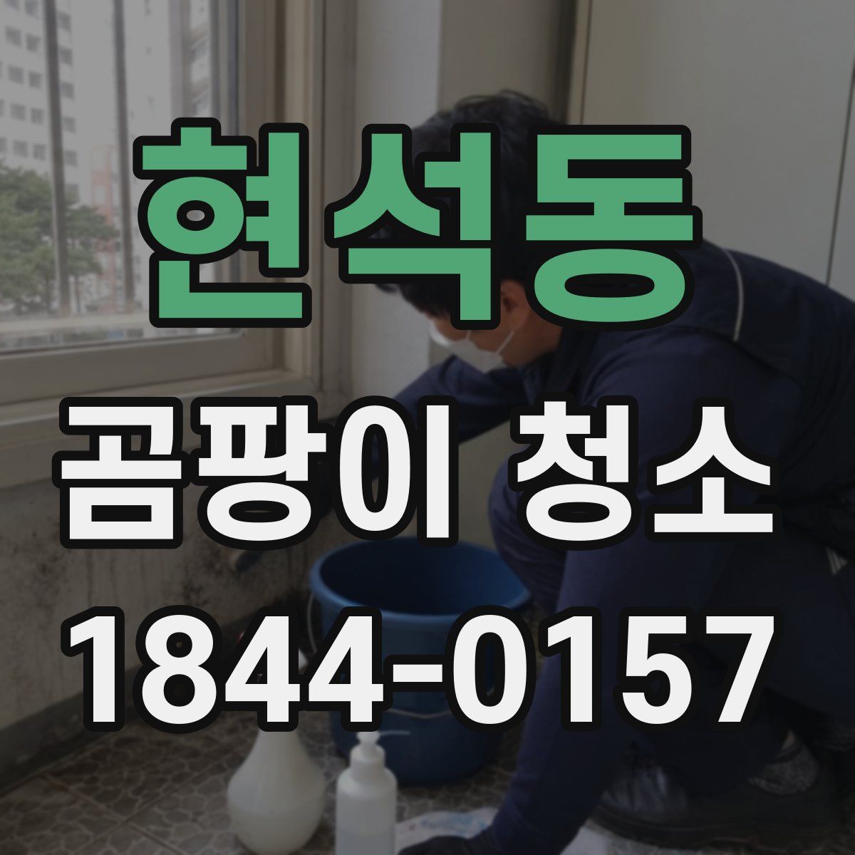 현석동 곰팡이 청소