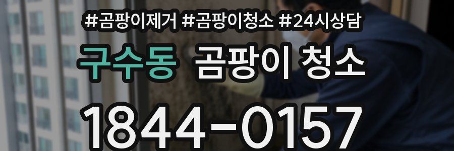 구수동 곰팡이 청소
