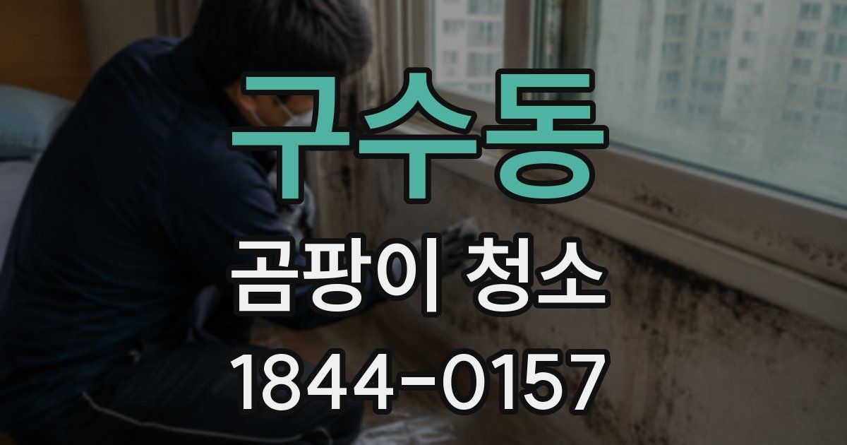 구수동 곰팡이 청소