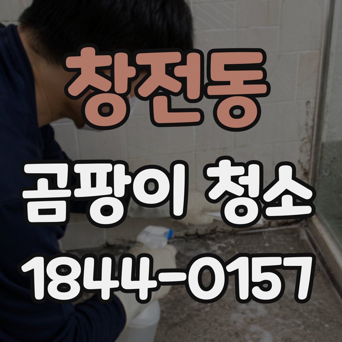 창전동 곰팡이 청소