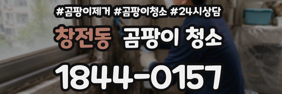 창전동 곰팡이 청소