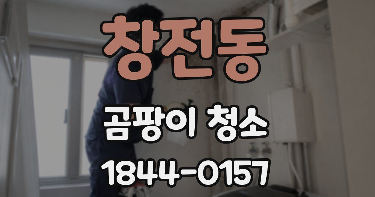 창전동 곰팡이 청소