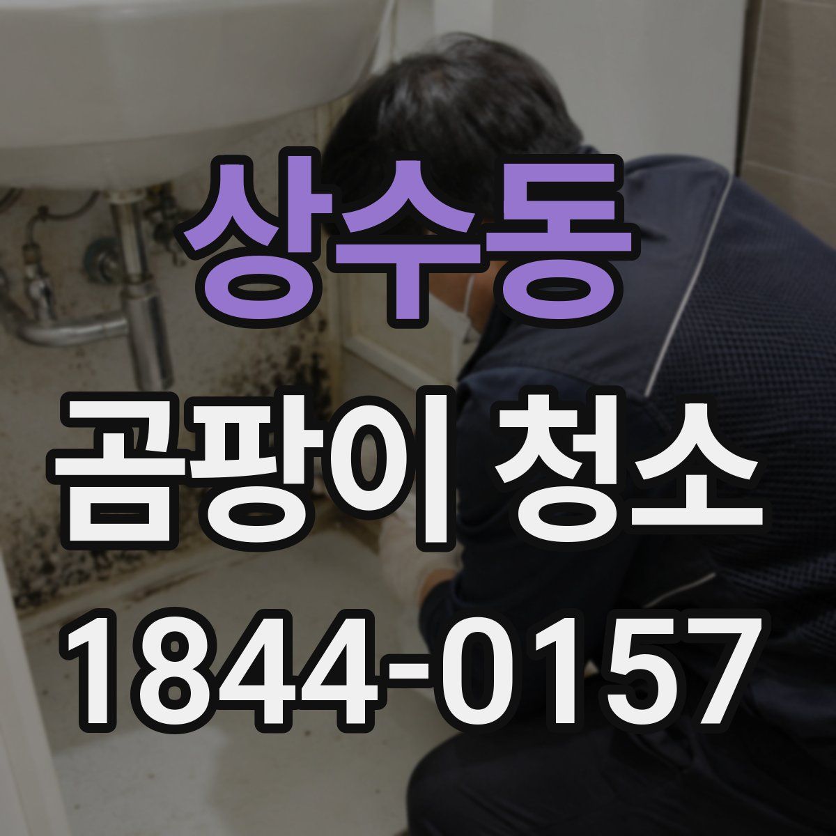 상수동 곰팡이 청소