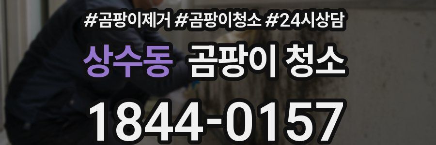 상수동 곰팡이 청소