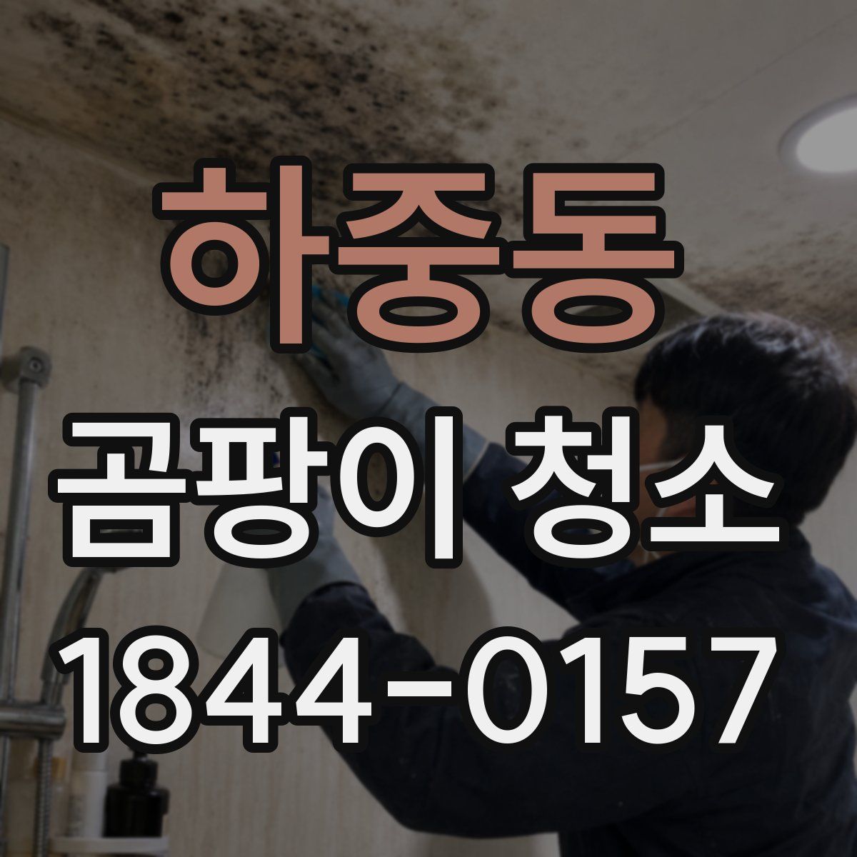 하중동 곰팡이 청소