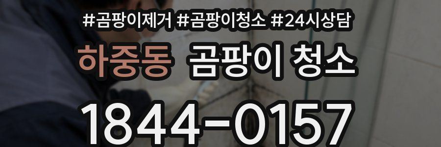 하중동 곰팡이 청소