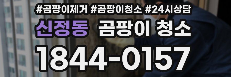 신정동 곰팡이 청소
