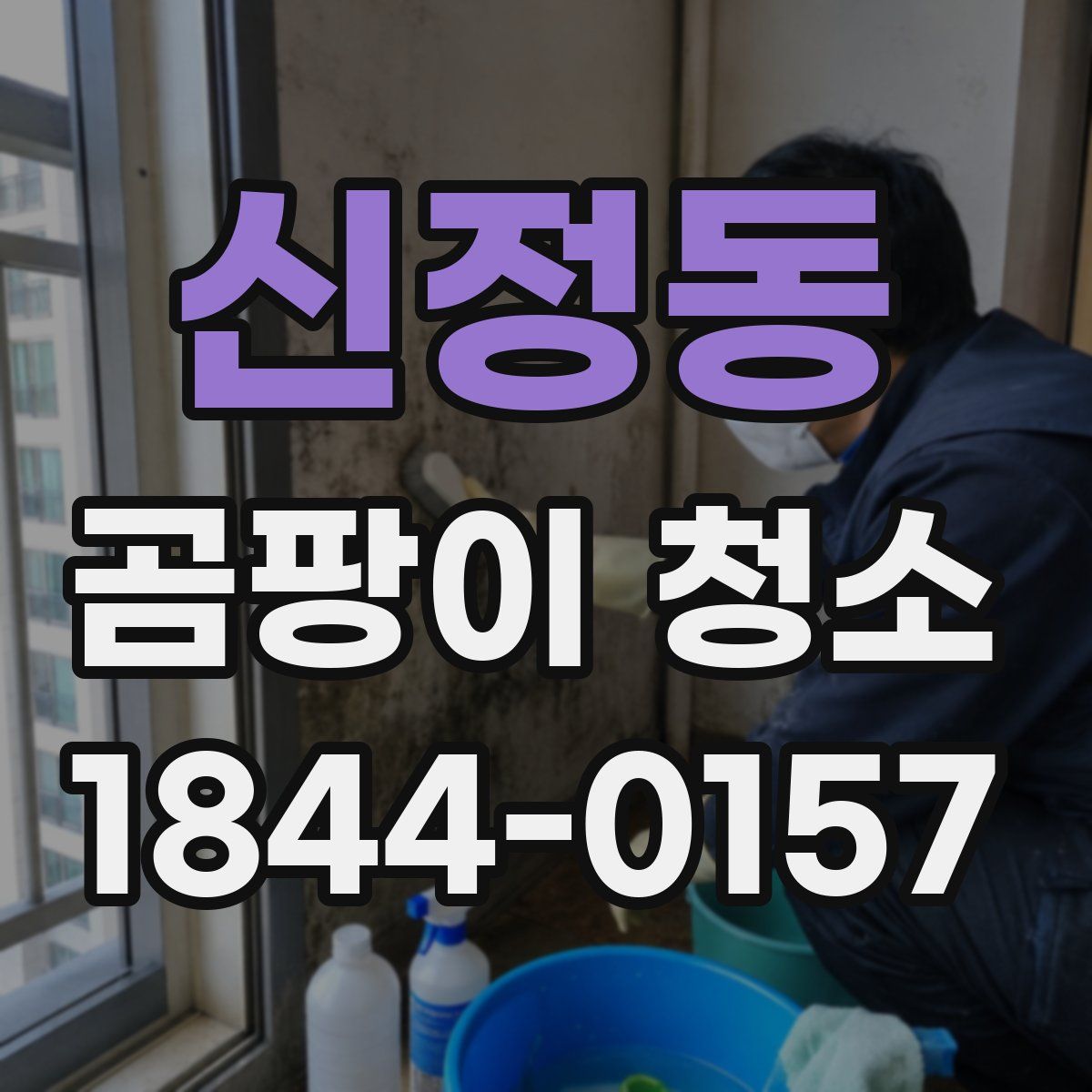 신정동 곰팡이 청소