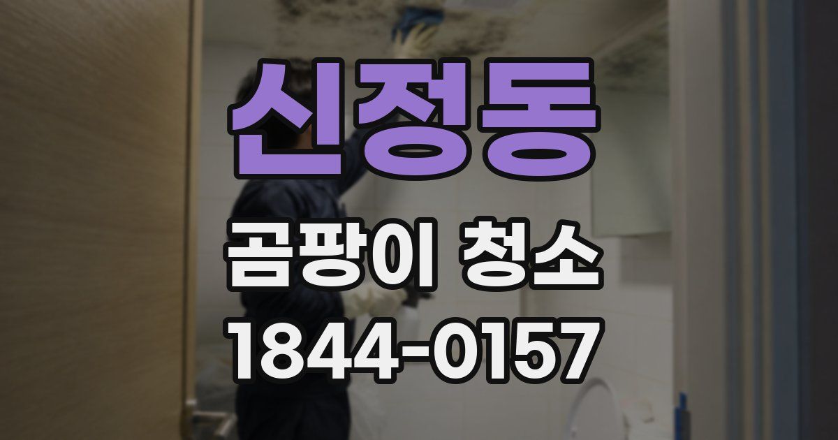신정동 곰팡이 청소