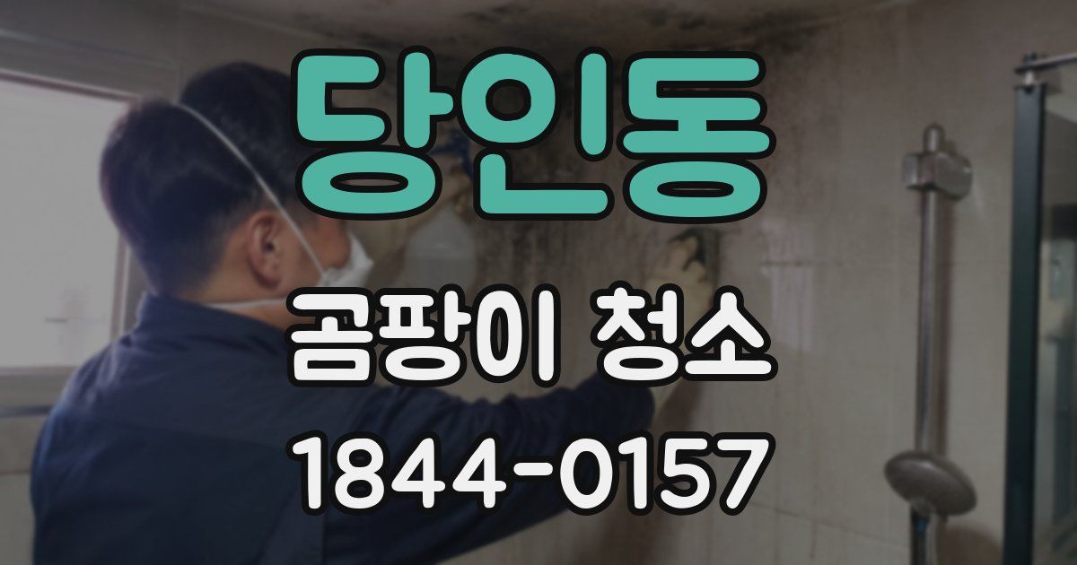 당인동 곰팡이 청소