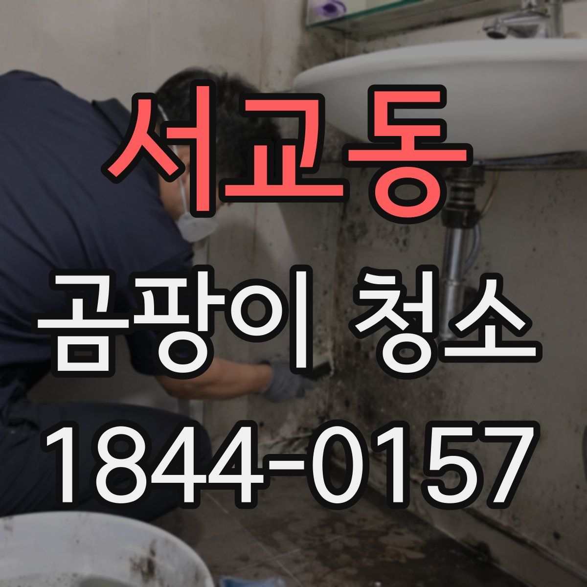 서교동 곰팡이 청소