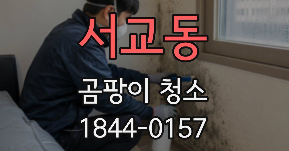 서교동 곰팡이 청소
