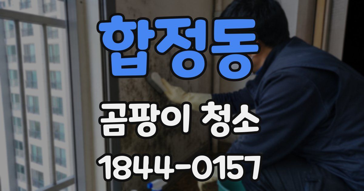 합정동 곰팡이 청소