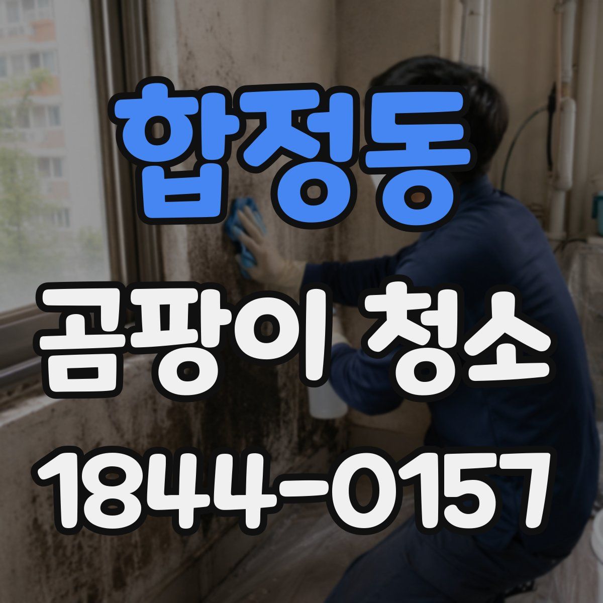 합정동 곰팡이 청소