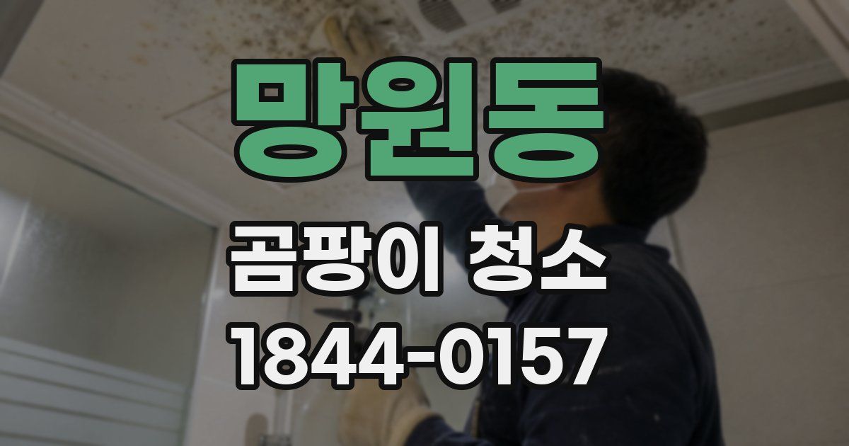 망원동 곰팡이 청소