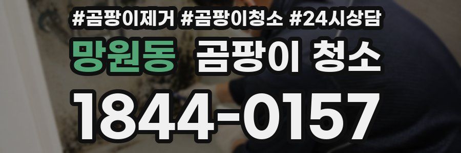 망원동 곰팡이 청소