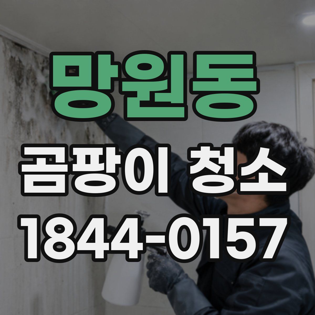 망원동 곰팡이 청소