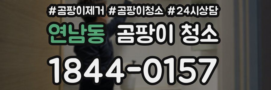 연남동 곰팡이 청소