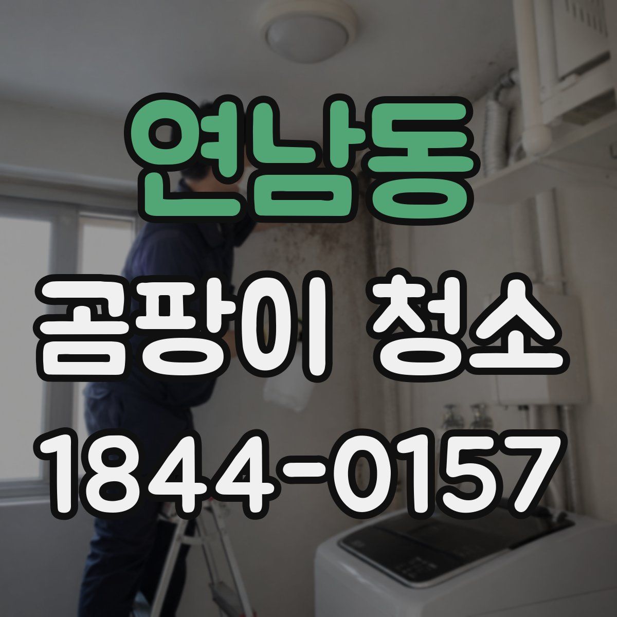 연남동 곰팡이 청소