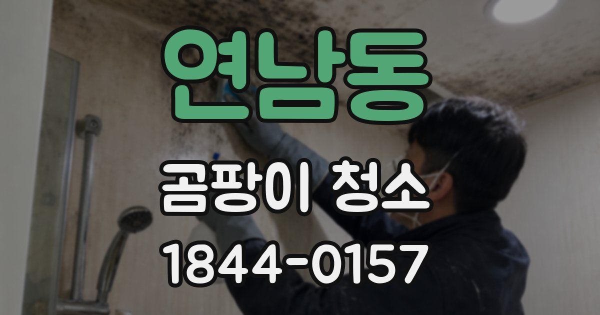 연남동 곰팡이 청소