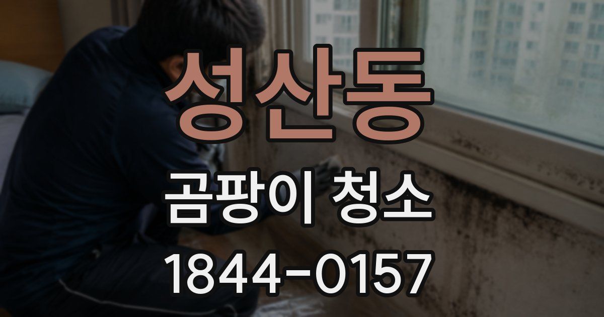 성산동 곰팡이 청소
