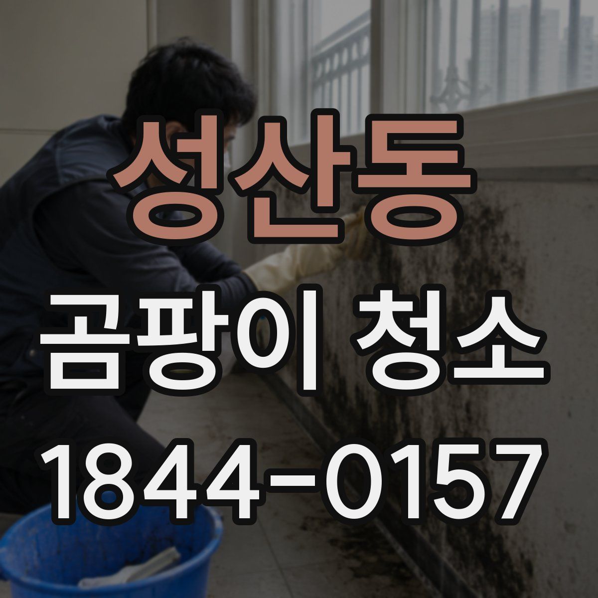성산동 곰팡이 청소
