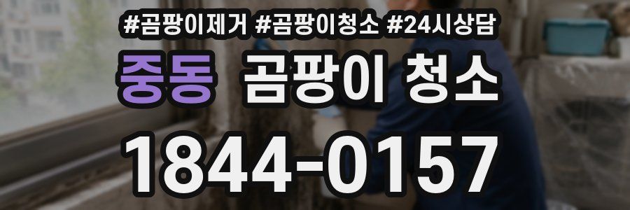 중동 곰팡이 청소