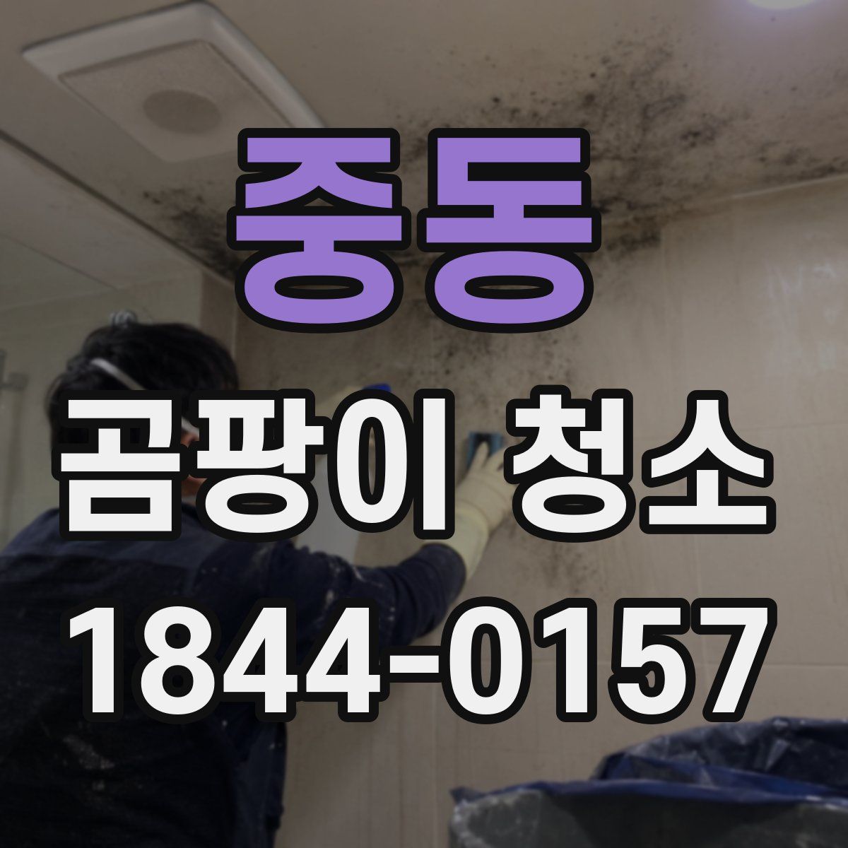 중동 곰팡이 청소