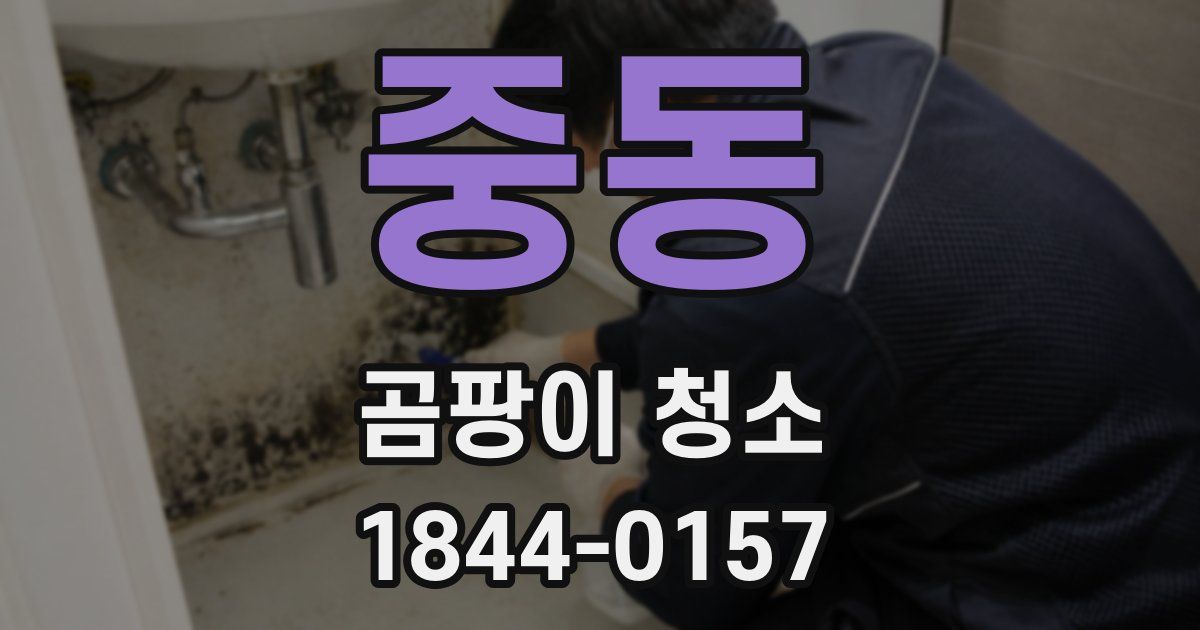중동 곰팡이 청소