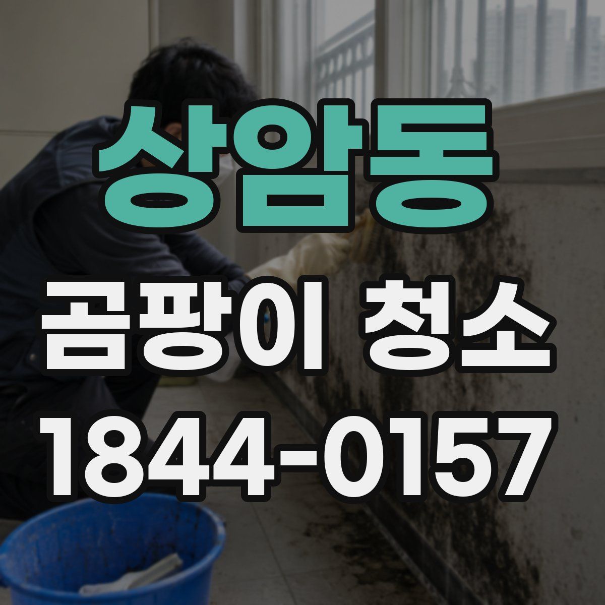 상암동 곰팡이 청소