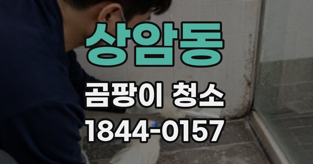 상암동 곰팡이 청소