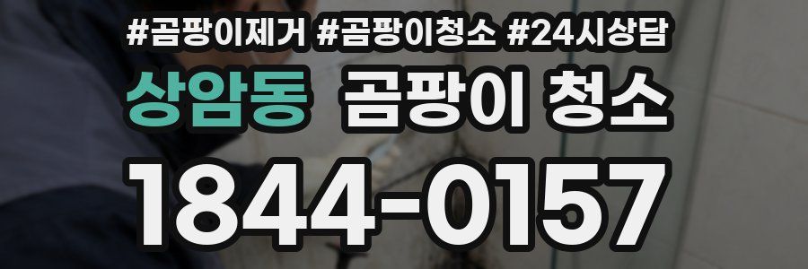 상암동 곰팡이 청소