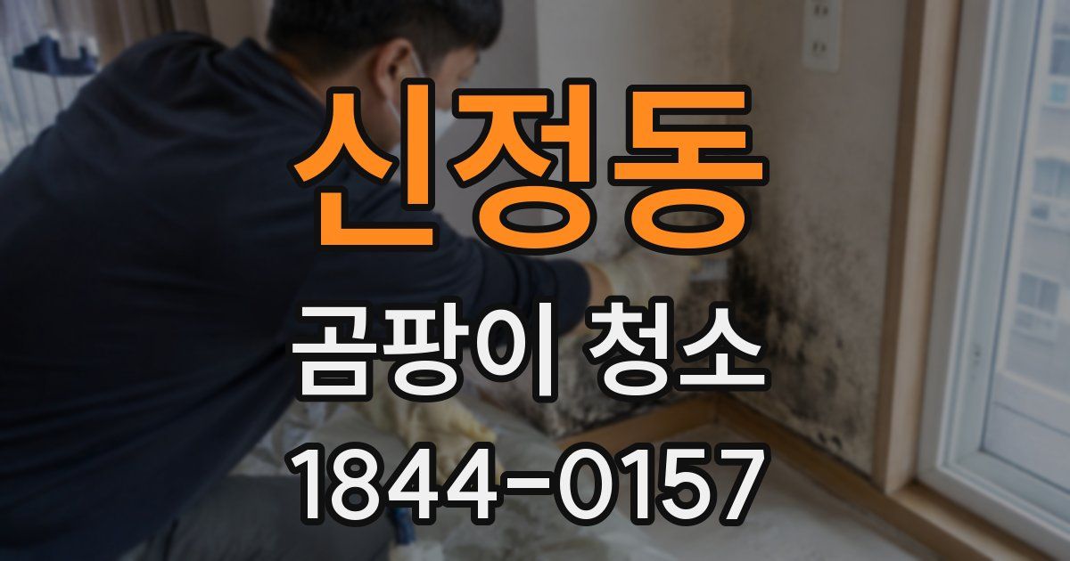 신정동 곰팡이 청소