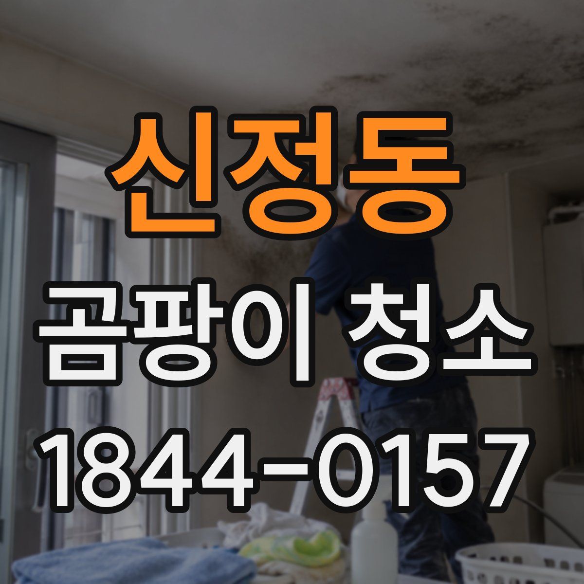 신정동 곰팡이 청소