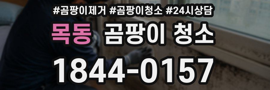 목동 곰팡이 청소